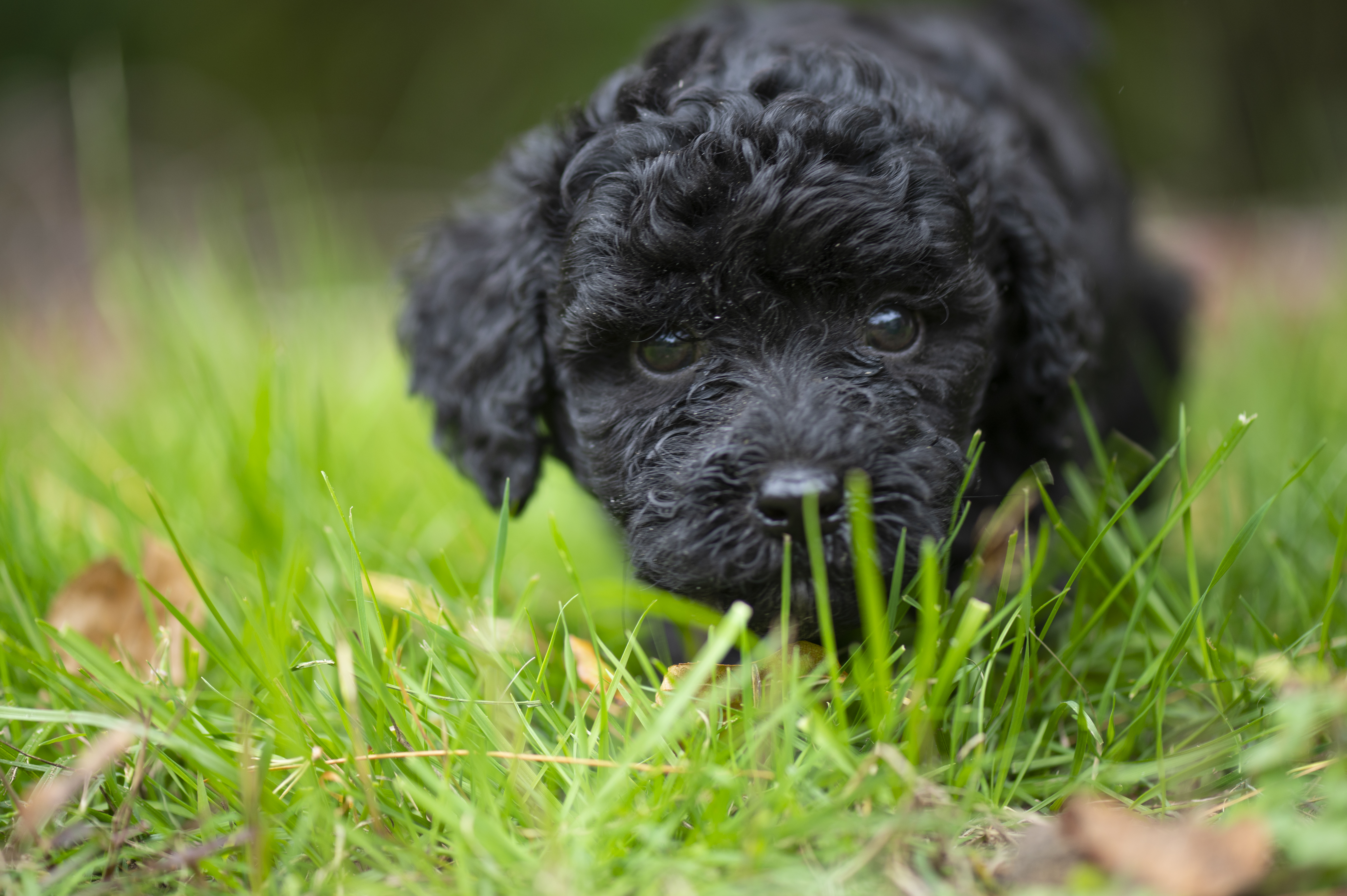 Lifestyle — Charolette Rock224