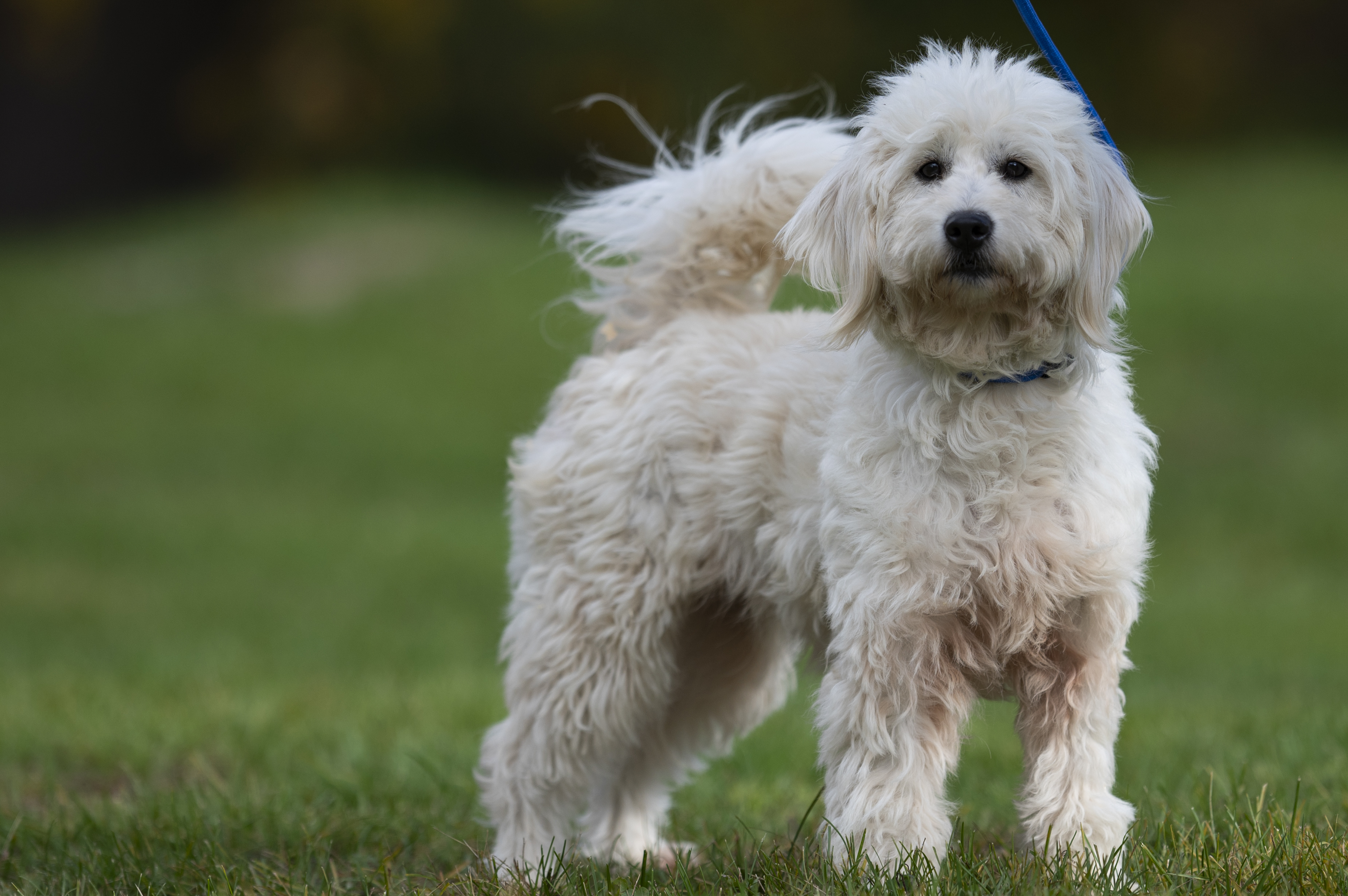 Lifestyle — Group480