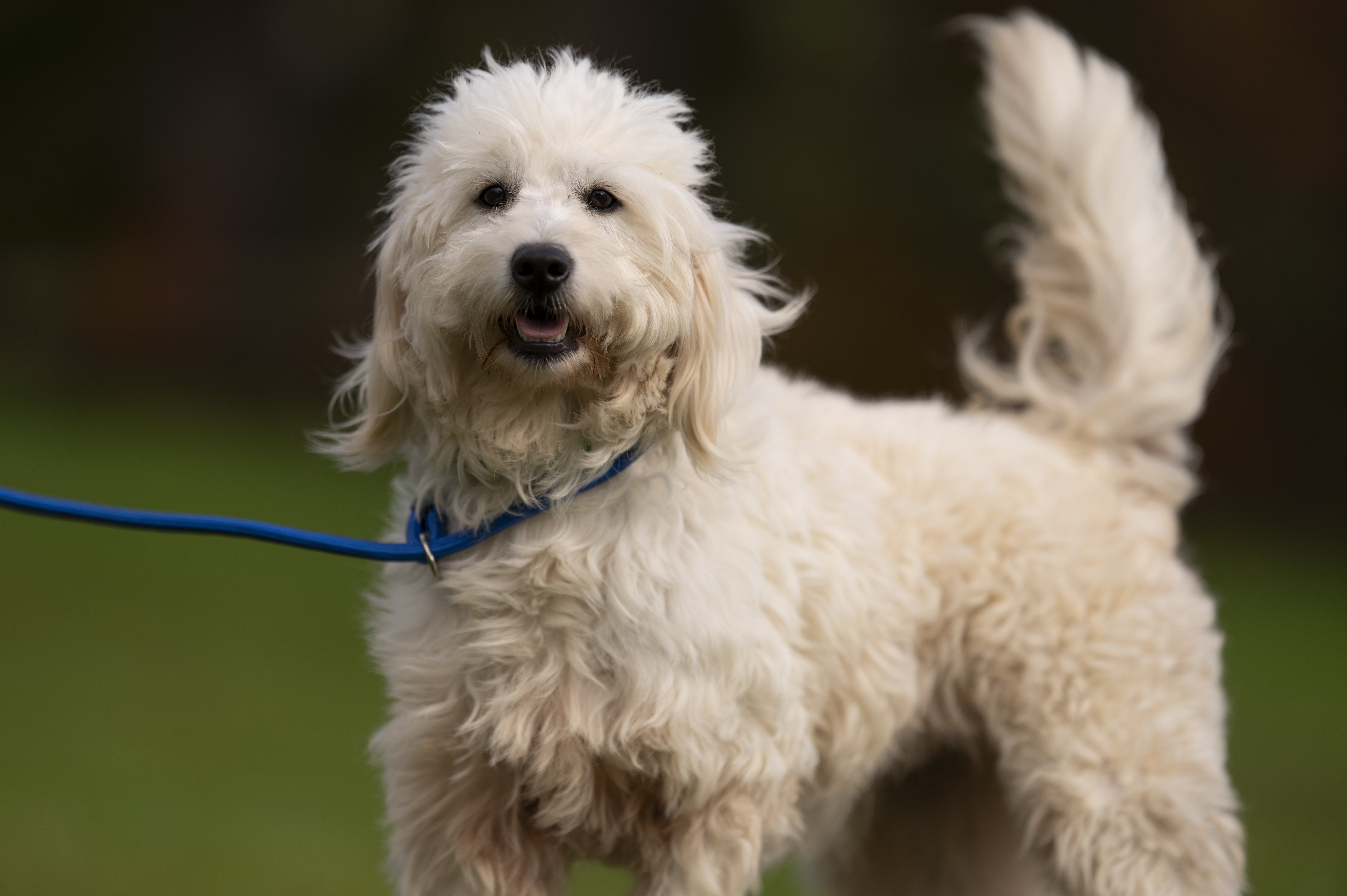 Lifestyle — Group504