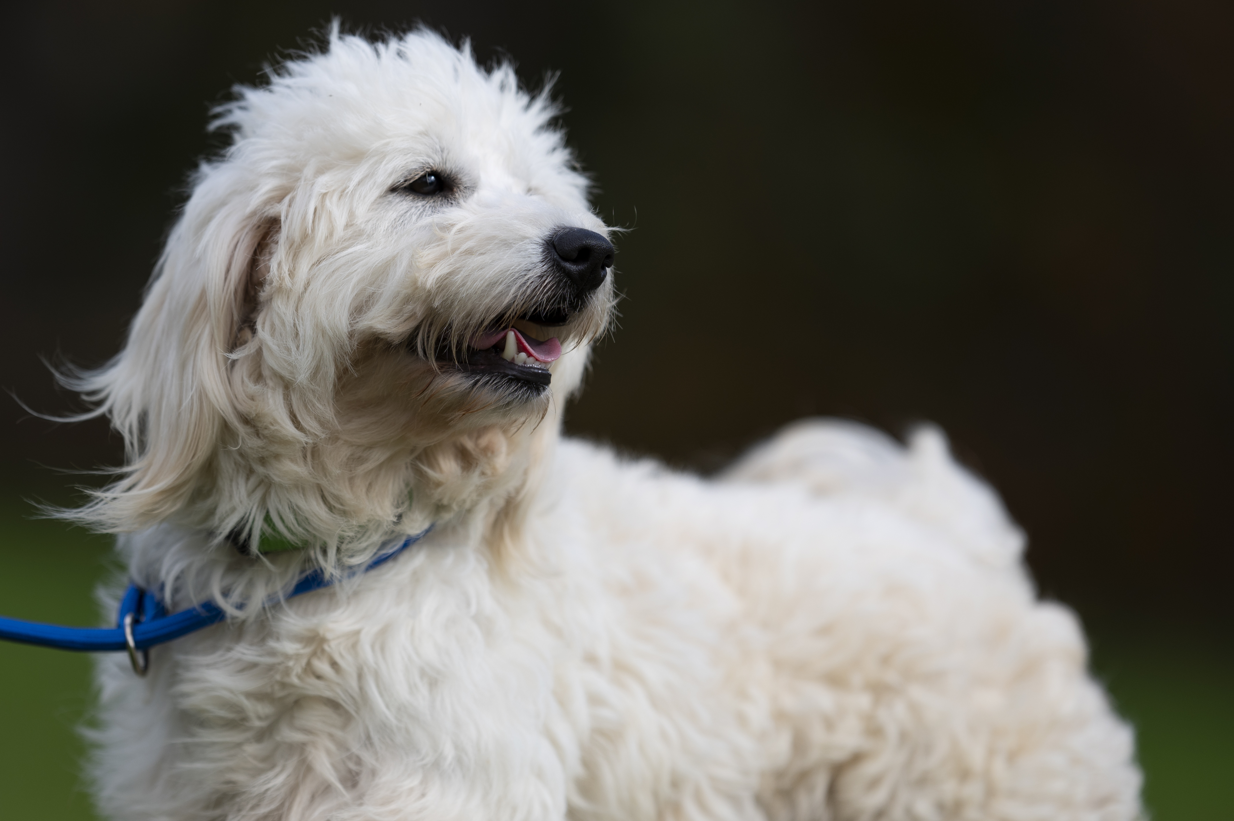 Lifestyle — Group530