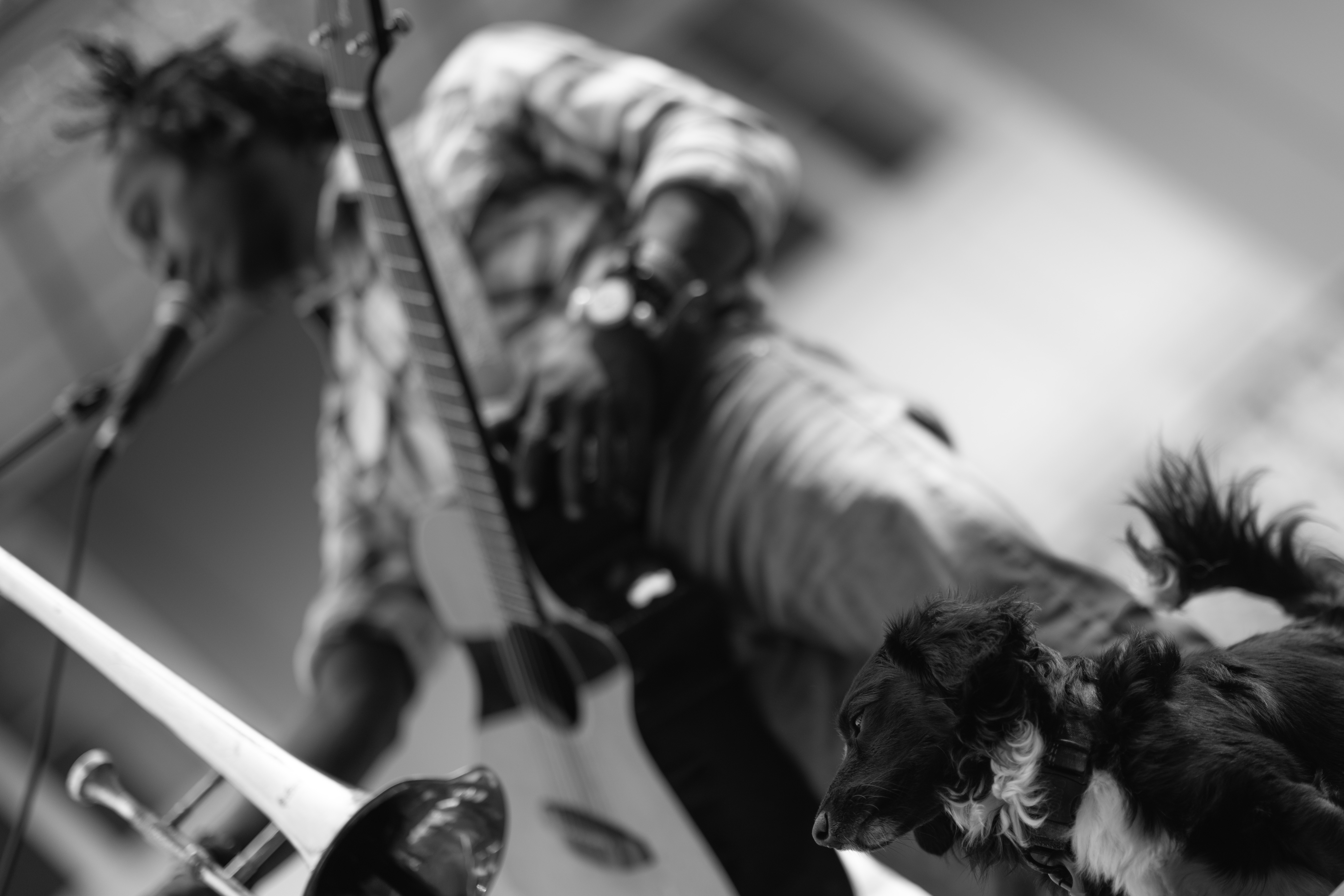 Lifestyle — DSC 5177