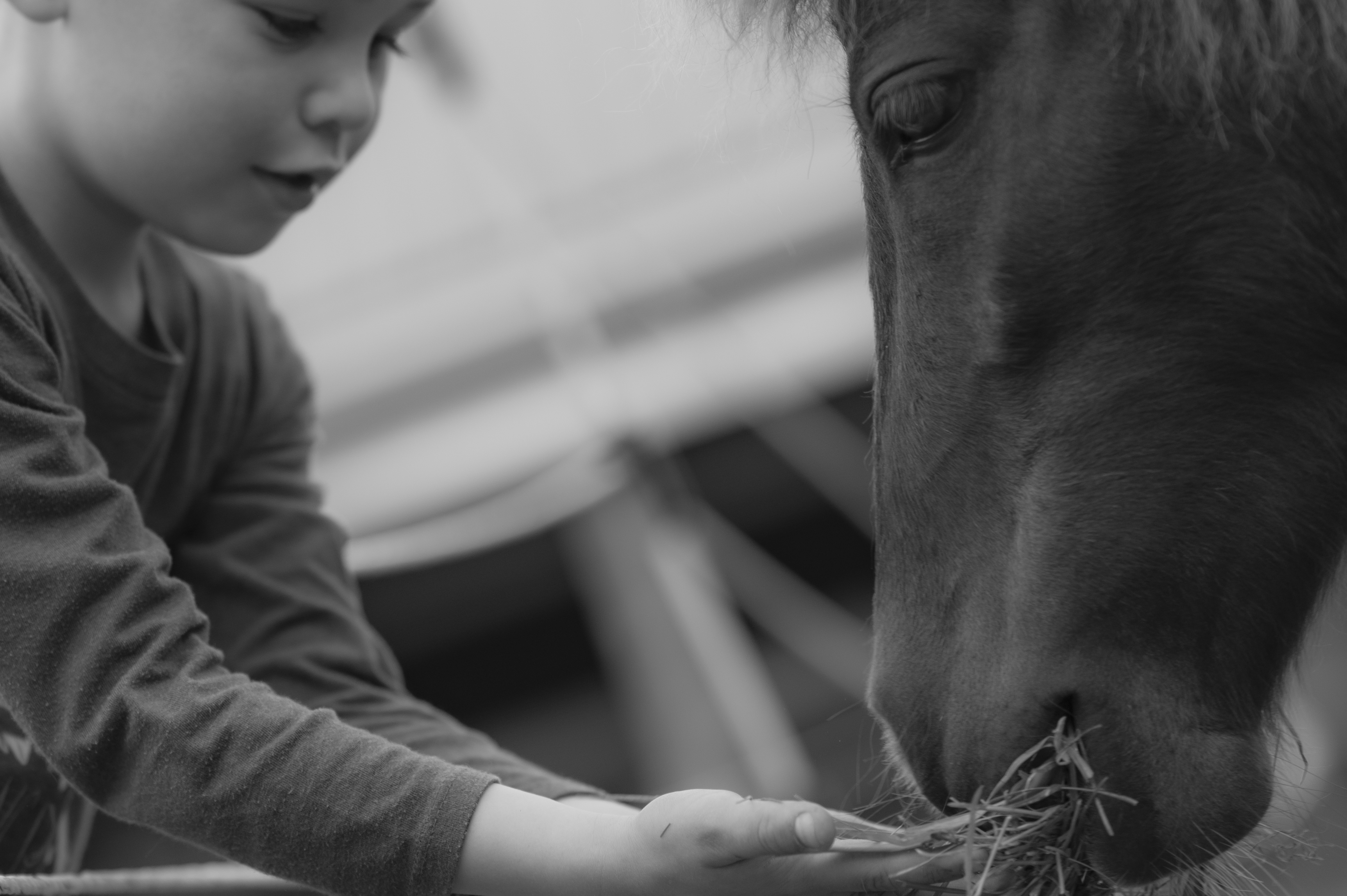 Nature — Will ow33