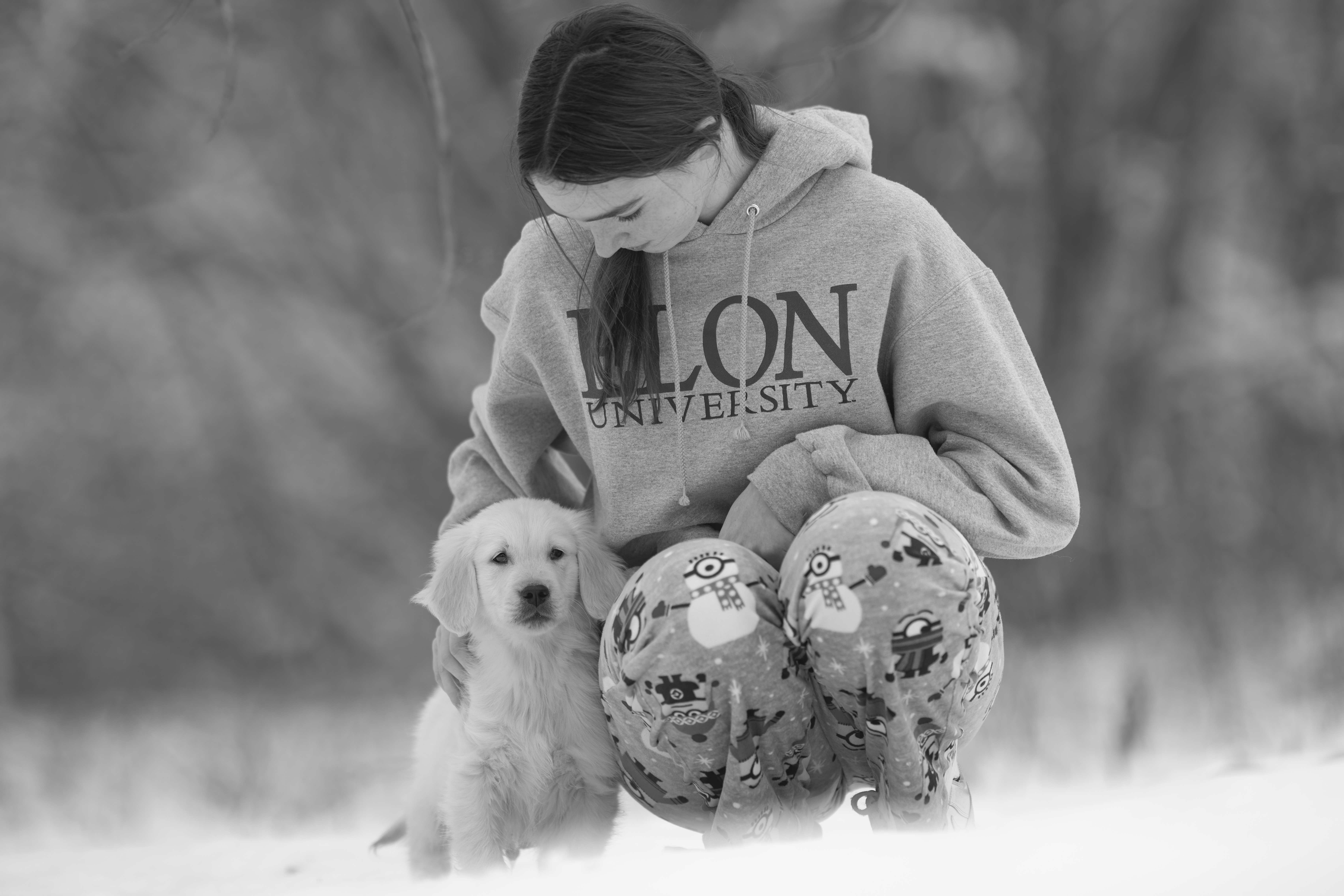 Puppies — MiaWhite176 1 f