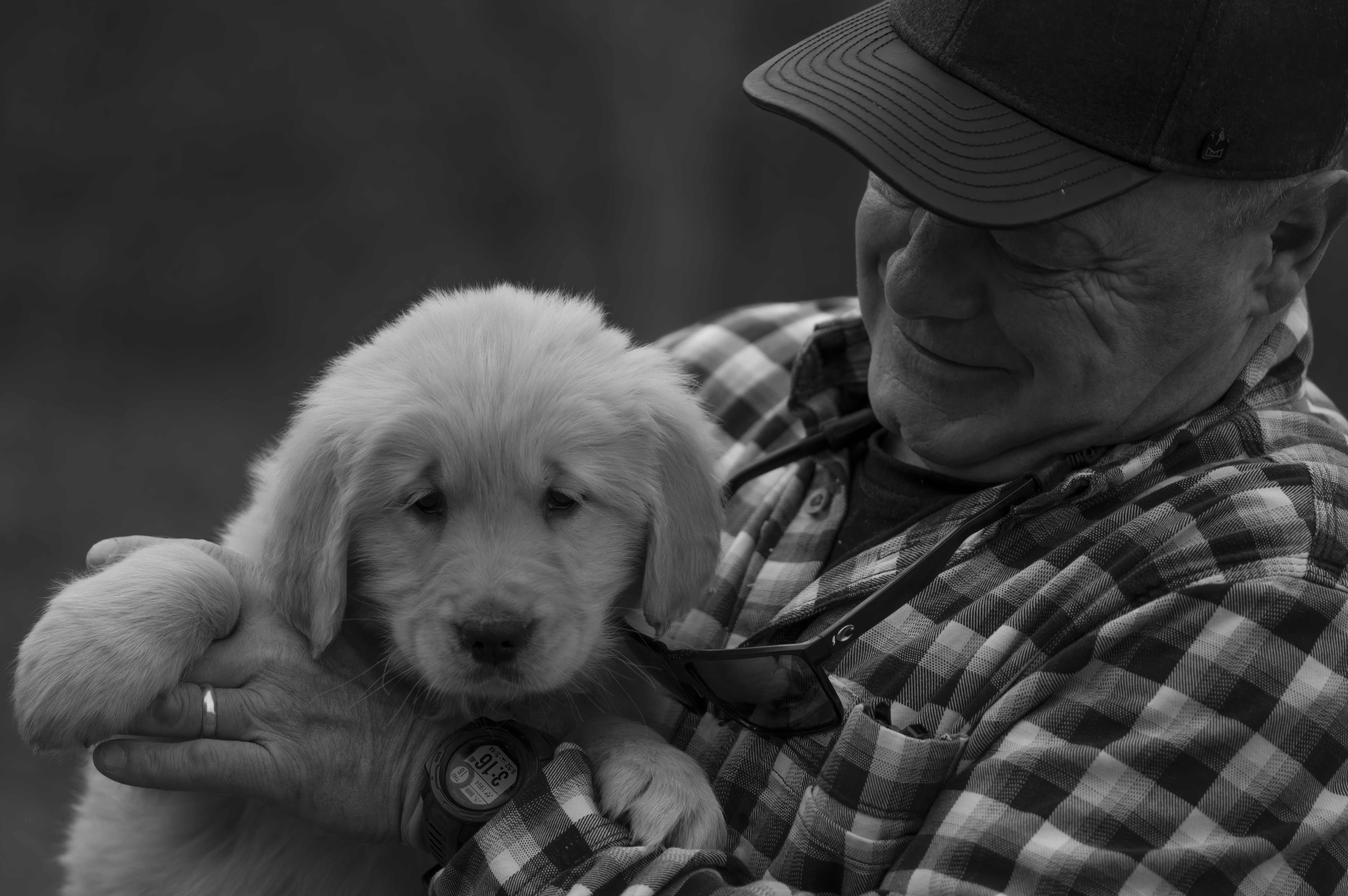 Puppies — SRitaPastor074 1 f