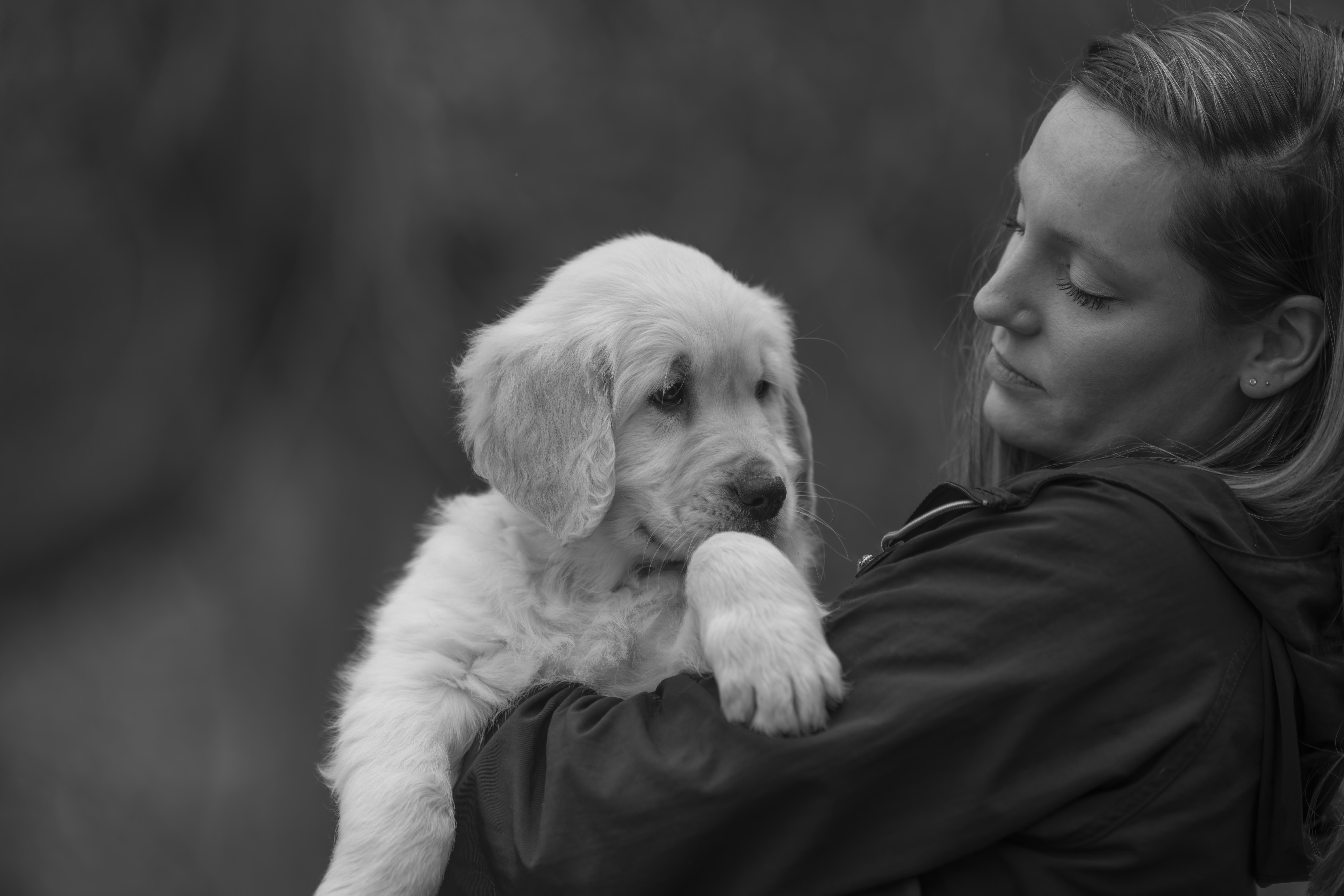 Puppies — RitaKelsey437 f