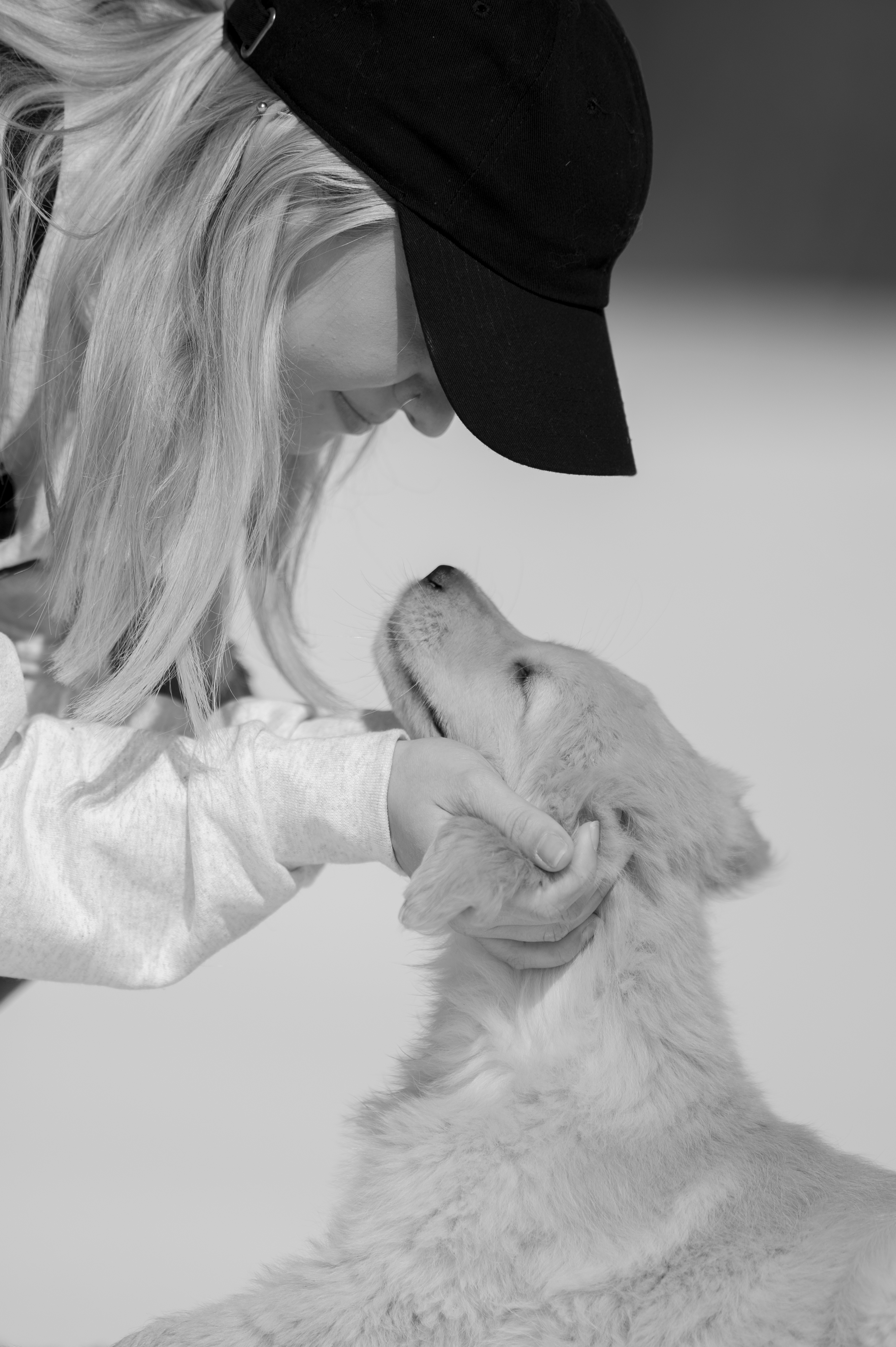 Puppies — CaroliVioletPups387