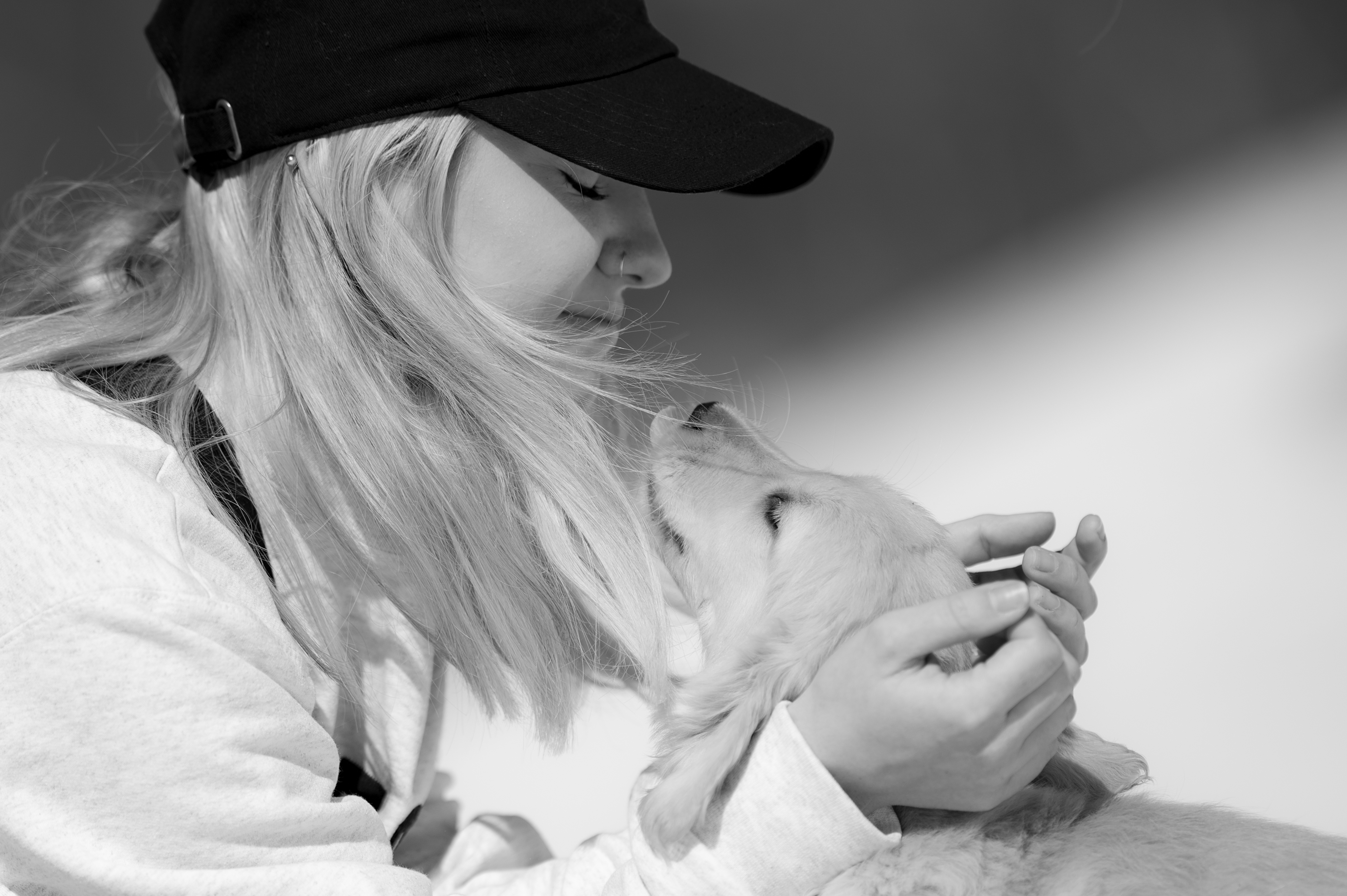 Puppies — CaroliVioletPups398