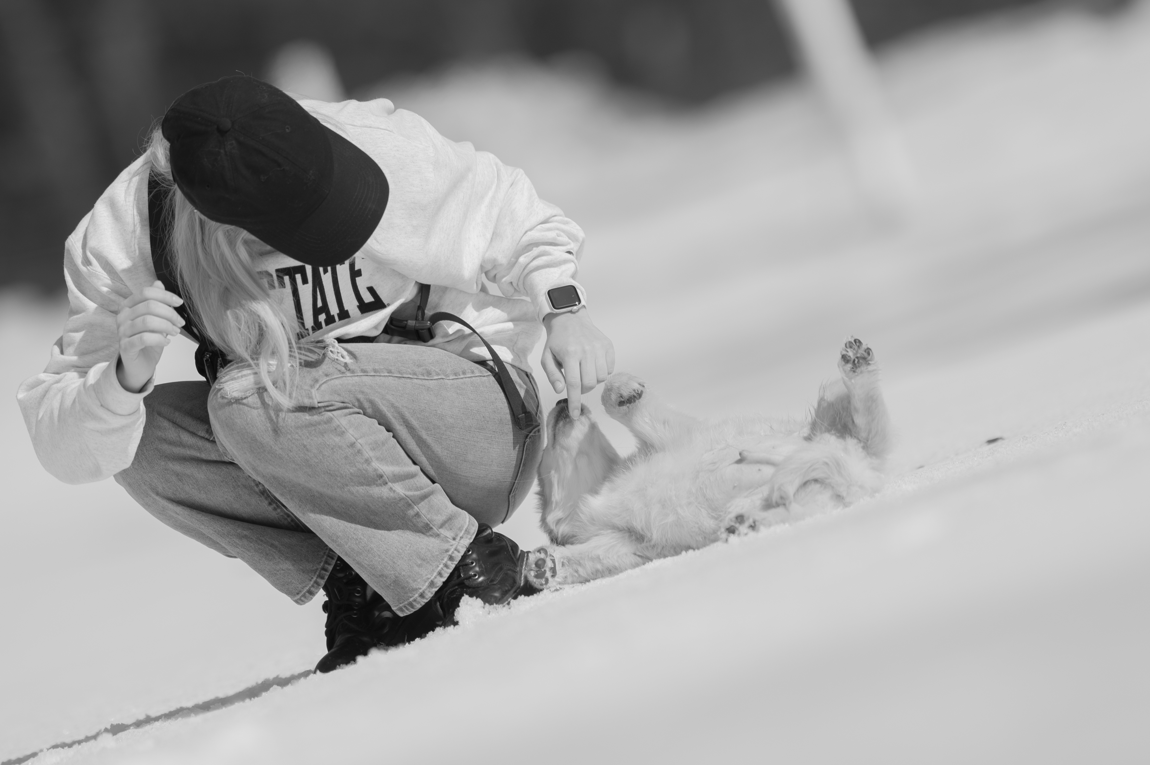 Puppies — CaroliVioletPups660