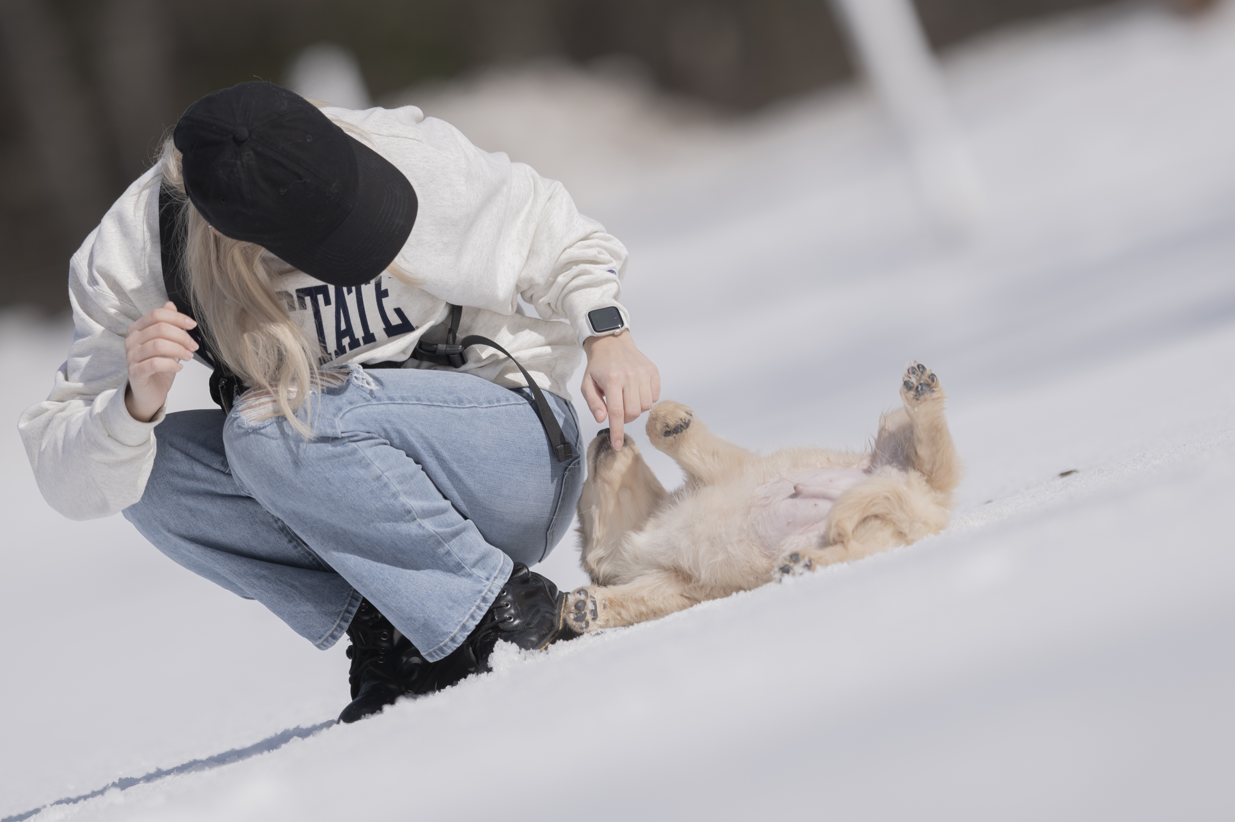 Puppies — CaroliVioletPups660 1